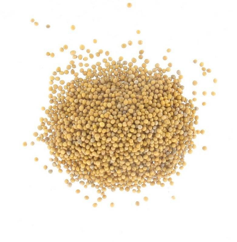 Mustard seed
